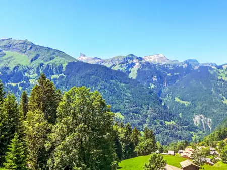 Tschingelhorn Apt. R, Appartement 5 personnes à Wengen - Photo 27