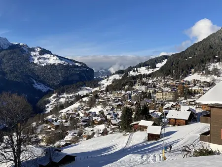 Tschingelhorn Apt. R, Appartement 5 personnes à Wengen - Photo 28