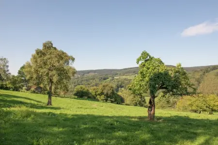 Ny des anges, Maison à Stoumont avec Piscine Privée - Photo 33