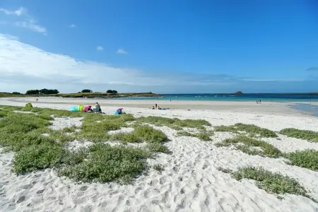 Maison près de la mer - PLOUDALMEZEAU, Atmosphère maison bretonne avec jardin - Photo 11