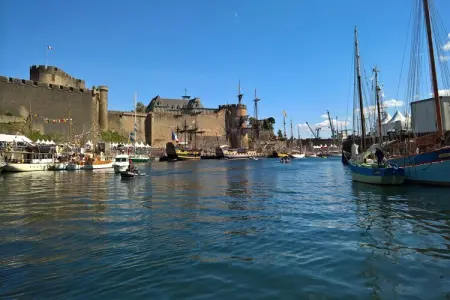 Maison près de la mer - PLOUDALMEZEAU, Atmosphère maison bretonne avec jardin - Photo 15