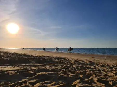 Appartement spacieux à Sanlúcar de Barrameda, vue mer - Photo 7
