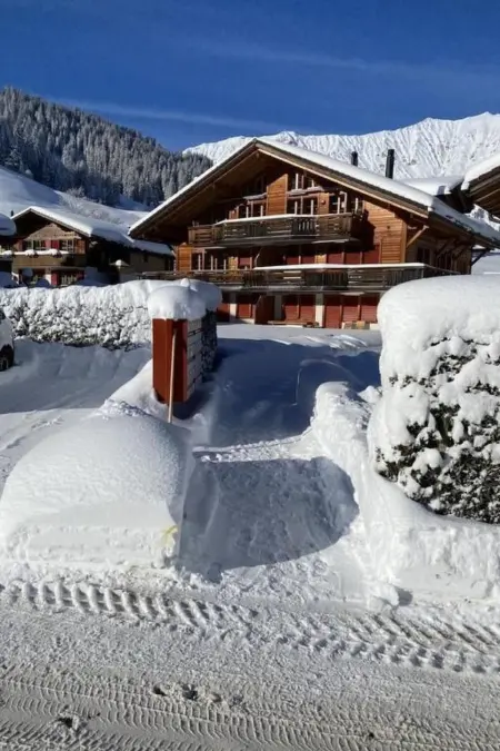 Gilbach Haus C, Appartement 6 personnes à Adelboden - Photo 1