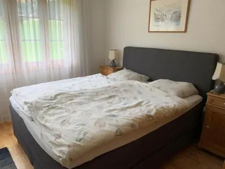 Gilbach Haus C, Appartement 6 personnes à Adelboden - Photo 9