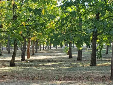 Maison spacieuse avec jardin à Jayac, 3 chambres - Photo 21