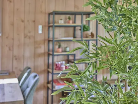 Veldzicht, Chalet 4 personnes à Bocholt - Photo 23