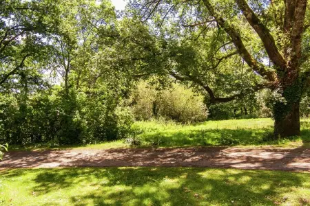 Métairie du Vignaud 16P, Maison de vacances à Bourgnac avec piscine privée - Photo 27
