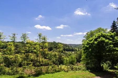 Métairie du Vignaud 16P, Maison de vacances à Bourgnac avec piscine privée - Photo 28