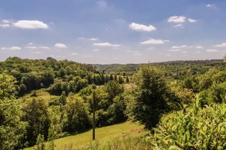 Métairie du Vignaud 16P, Maison de vacances à Bourgnac avec piscine privée - Photo 29