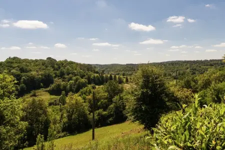 Métairie du Vignaud 16P, Maison de vacances à Bourgnac avec piscine privée - Photo 31