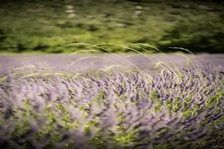 Le Domaine des Hauts de Salavas 3, Séjour cosy en Ardèche - Photo 32