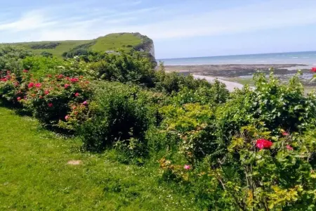 223060, Maison 8 personnes à Veulettes sur Mer - Photo 3