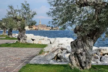 140974, Maison 4 personnes à Toscolano Maderno - Photo 32