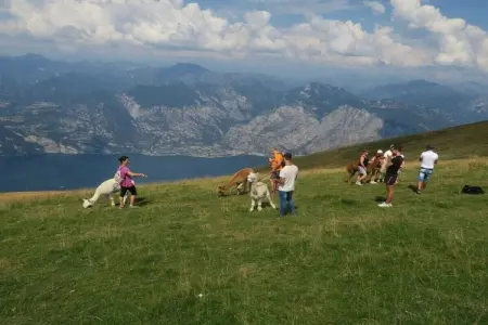 140974, Maison 4 personnes à Toscolano Maderno - Photo 39
