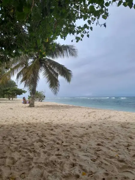 Appartement cosy à Anse-Bertrand de 45 m² avec jardin - Photo 8