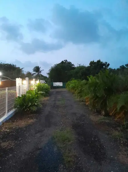 Appartement cosy à Anse-Bertrand de 45 m² avec jardin - Photo 9