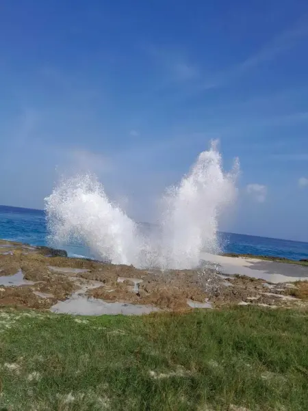 Appartement cosy à Anse-Bertrand de 45 m² avec jardin - Photo 10