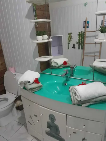 Appartement charmant à Anse-Bertrand de 50 m², Appartement 2 personnes à Massioux, Anse Bertrand - Photo 12