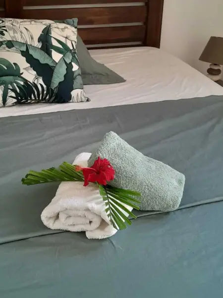 Appartement charmant à Anse-Bertrand de 50 m², Appartement 2 personnes à Massioux, Anse Bertrand - Photo 13