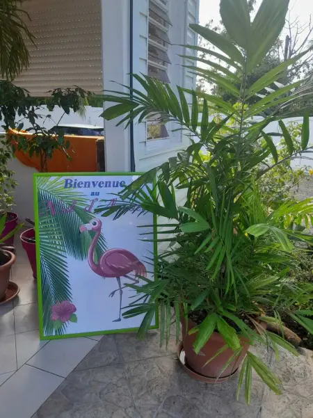 Appartement charmant à Anse-Bertrand de 50 m², Appartement 2 personnes à Massioux, Anse Bertrand - Photo 15