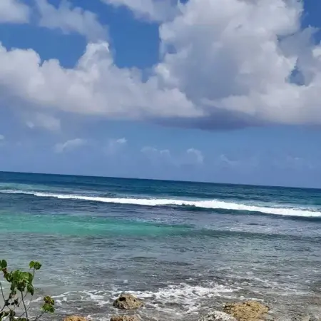 Appartement charmant à Anse-Bertrand de 50 m², Appartement 2 personnes à Massioux, Anse Bertrand - Photo 16