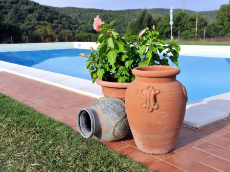 Agriletizia, Appartement 6 personnes à Massa Marittima - Photo 12