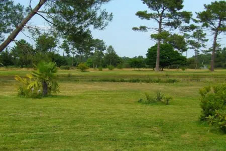 Les Greens du Bassin 5, Villa en France près du golf avec piscine - Photo 38