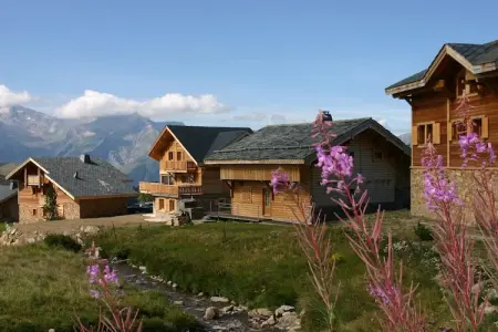 Les Chalets de l'Altiport 5, Chalet pittoresque pour groupes - Photo 6