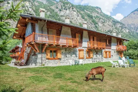 GrBe Quadri, Escapade en montagne avec animaux de compagnie - Photo 22