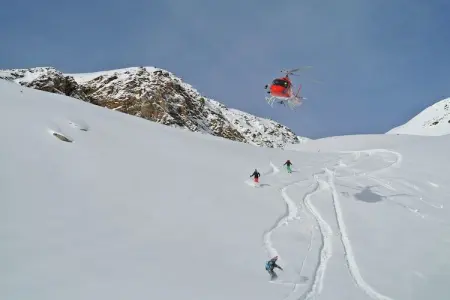 GrBe Quadri, Escapade en montagne avec animaux de compagnie - Photo 34