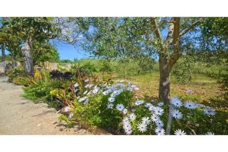 Sa Sini, Cottage à Búger avec Piscine et Vue - Photo 25