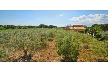 Sa Sini, Cottage à Búger avec Piscine et Vue - Photo 29