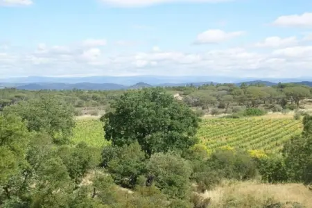 Villa Vida, Villa à Vidauban avec piscine privée - Photo 31