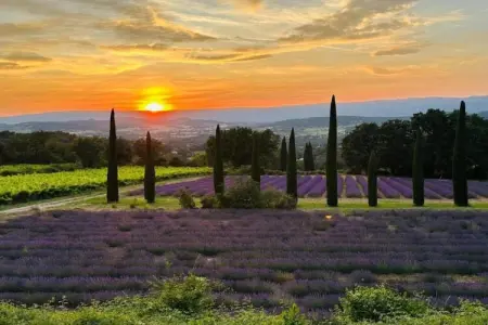 La Petite Colline, Villa au Lubéron avec piscine salée - Photo 32