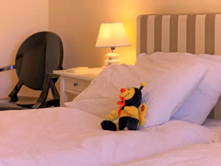 Le National Montreux, Appartement 8 personnes à Montreux - Photo 17