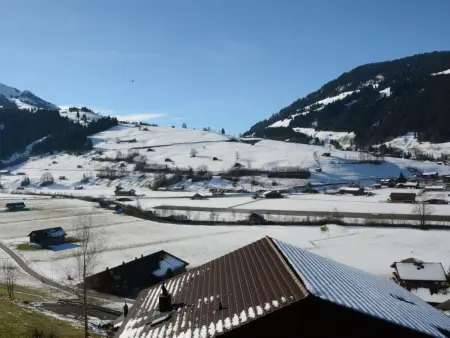 Fabiana, Appartement 6 personnes à Zweisimmen - Photo 4