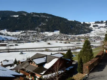 Fabiana, Appartement 6 personnes à Zweisimmen - Photo 6