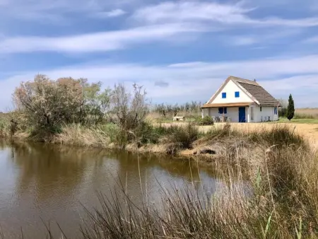 Maison à Saintes Maries de la Mer, Cabane de Gardian 6 pers, nature, animaux admis, parking - L1075111