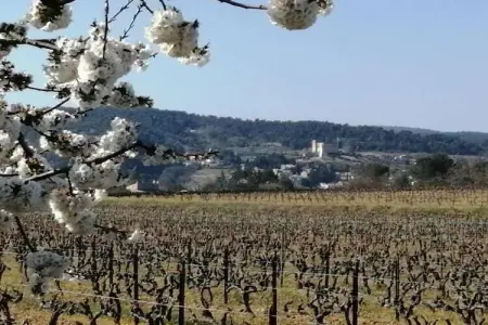 Alana, Maison 7 personnes à Vaison la Romaine - Photo 36