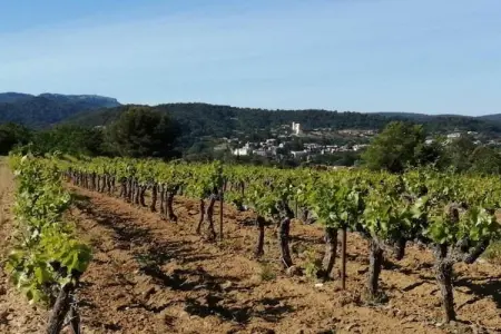 Alana, Maison 7 personnes à Vaison la Romaine - Photo 37