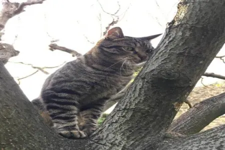 Alana, Maison 7 personnes à Vaison la Romaine - Photo 38