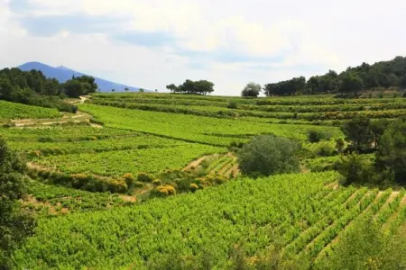 Villa Ninon, Maison 6 personnes à Vaison la Romaine - Photo 31