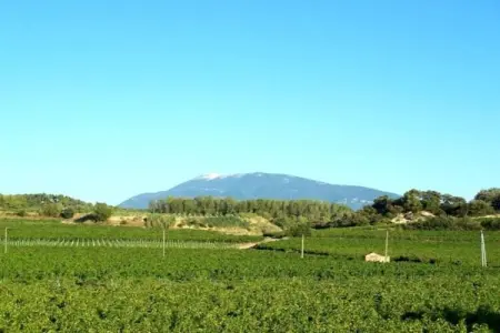 Villa Ninon, Maison 6 personnes à Vaison la Romaine - Photo 32
