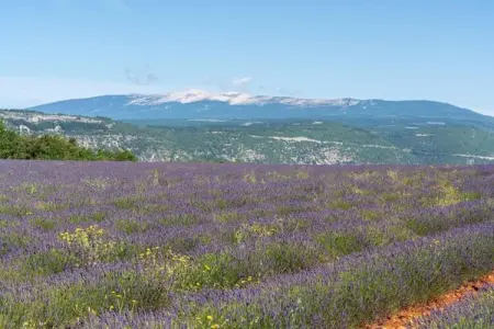 Villa Ninon, Maison 6 personnes à Vaison la Romaine - Photo 38