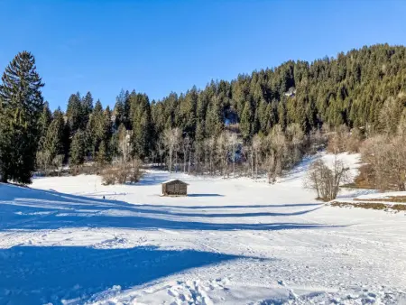Vista dal Dragun, Chalet 8 personnes à Laax - Photo 34