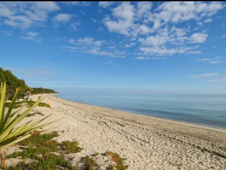 Mini villa climatisée à 5 min de la plage, Appartement 3 personnes à Prunelli di Fiumorbo - Photo 1
