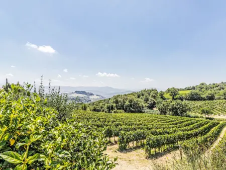 Chateau Le Siroque, Villa 10 personnes à Montecatini Val di Cecina - Photo 42