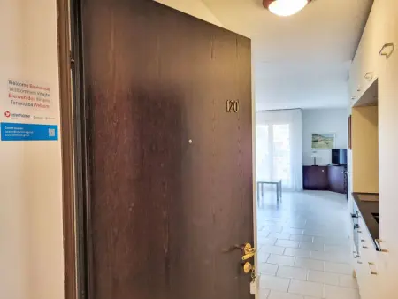 Residenza Parcolago Apt 120 1.Stock, Appartement 2 personnes à Caslano - Photo 7