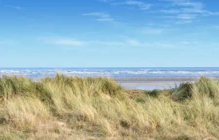 Location Maison 6 personnes à Hauteville sur Mer - Photo 27