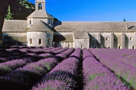 La Colline de Rêve plus 4 gîtes, Villa en Provence avec Piscine Infinie - Photo 35